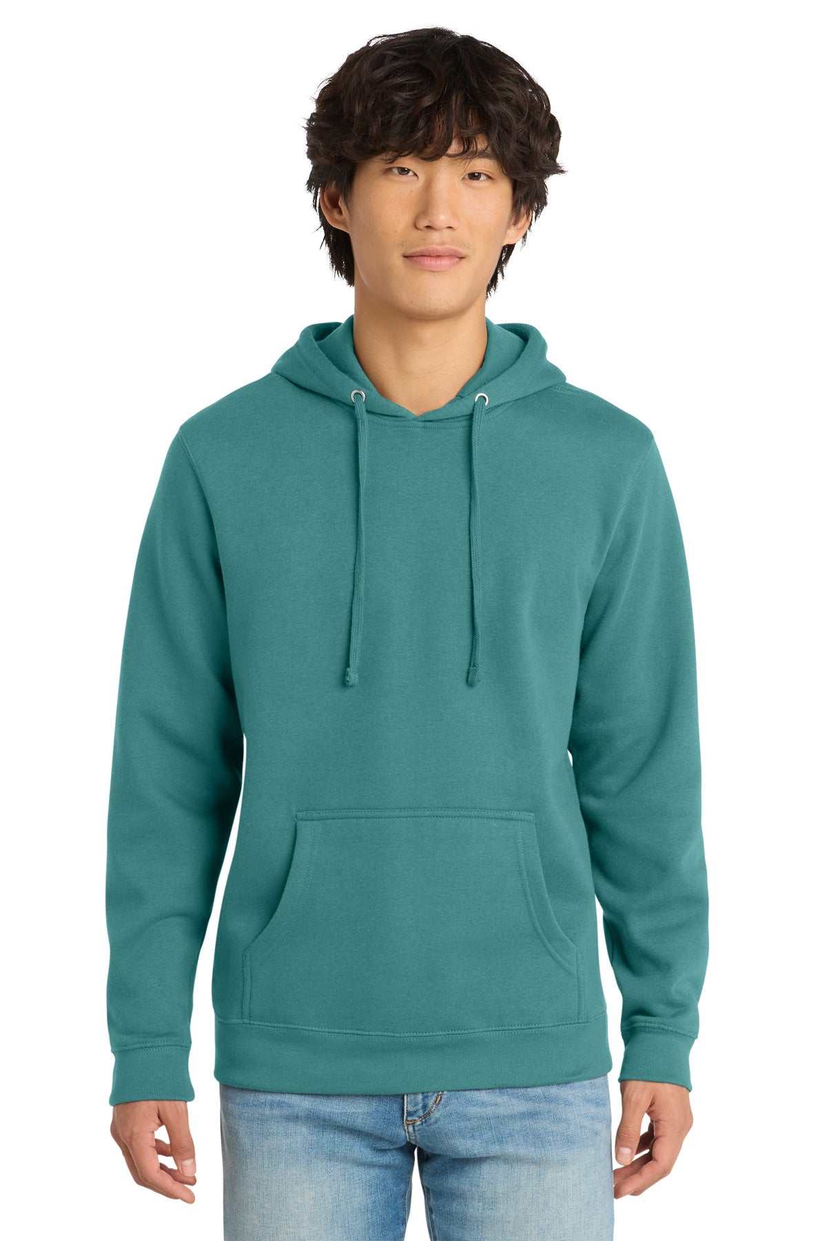 DT6100 - Fleece Hoodie Sweatshirt - Phoenix Signs & Graphics